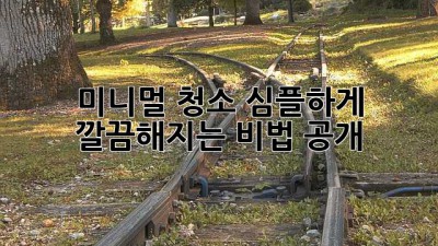 ✨미니멀 청소✨ 심플하게 깔끔해지는 비법 공개!