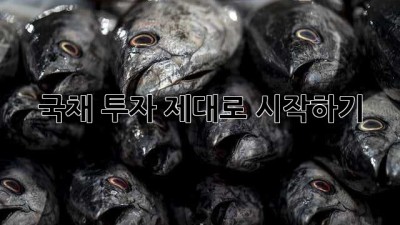 국채 투자, 제대로 시작하기