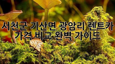 서천군 기산면 광암리 렌트카 가격 비교 완벽 가이드